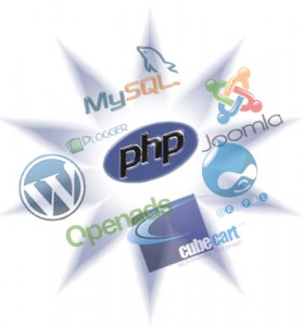 Custom PHP web application development versus RAD frameworks and CMS